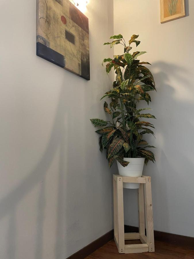 Hostal El Nuevo Salau קודילרו מראה חיצוני תמונה