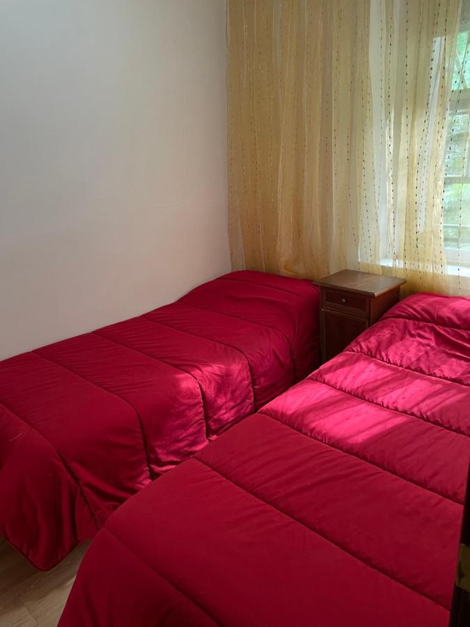 Hostal El Nuevo Salau קודילרו מראה חיצוני תמונה